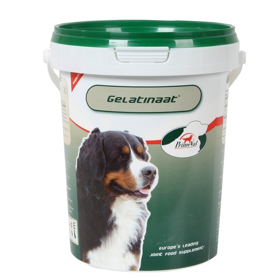 Primeval Gelatinaat HOND. 