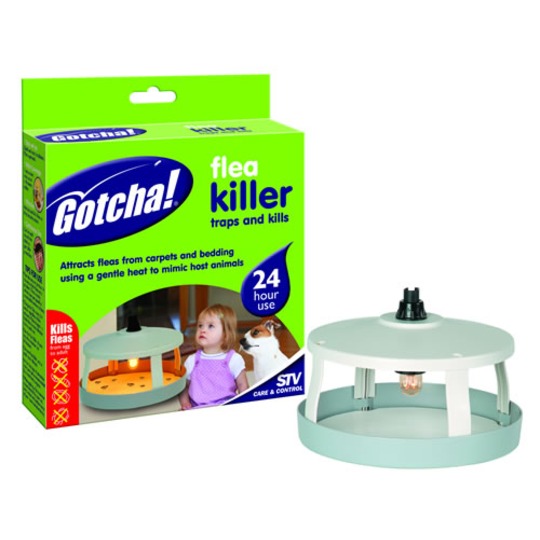 Pulci Assassino / Flea Killer. Uccidete quelle pulci brutto con questo kit.