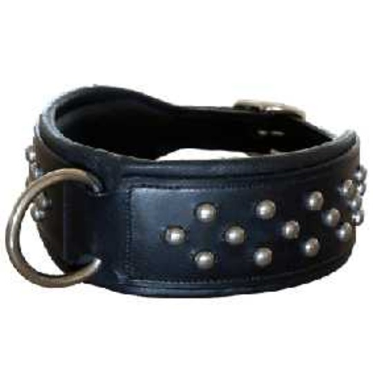 Halsband Stallone. Stoere halsband extra breed.