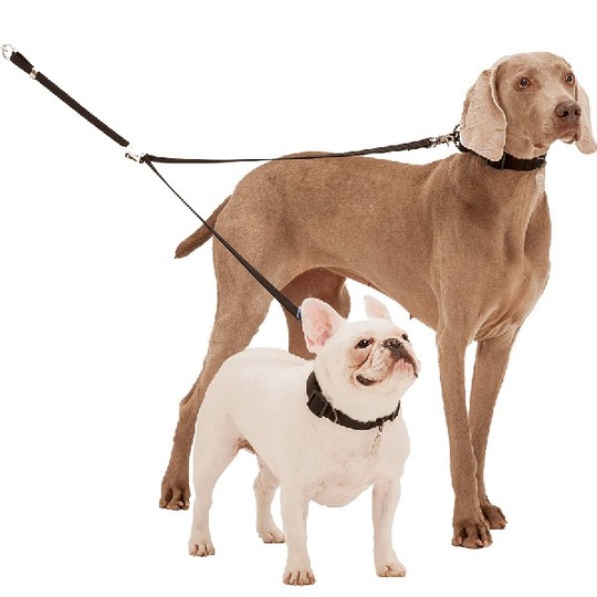 Duvo+ Koppelstuk voor honden. Handig koppelstuk om met 2 honden te lopen, in 3 kleuren.