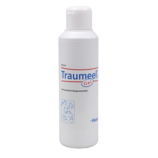 Traumeel S Gel 250 ml. Een echte Eerste hulp-gel voor paard, hond en mens.