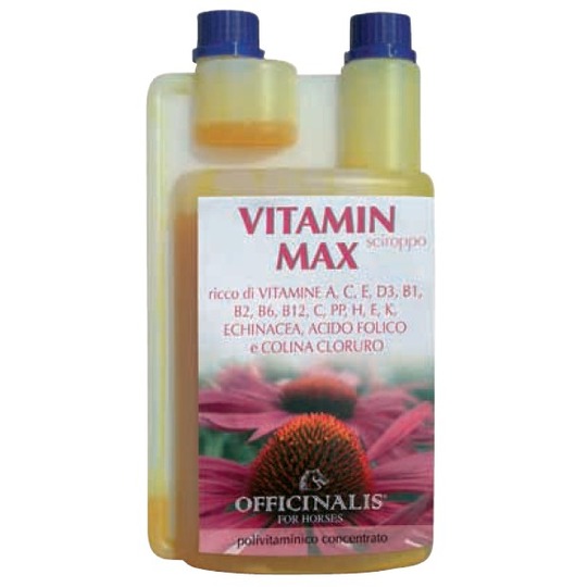 Officinalis Vitamin Max 1ltr. Reich an Vitamin A, B1, B2, B6, B12, C, D3, E und Foliumsäure.