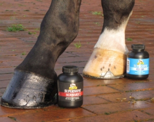 Absorbine Supershine Hoof Polish 237ml.