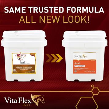 Farnam Vita Flex Accell 2.27kg.   14 acides aminés pour le maintien musculaire et le soutien de la dégradation des protéines
