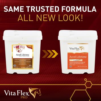 vVita Flex Accel Lifetime 2.27kg.   Ideal para caballos mayores, Antioxidantes, vitaminas y minerales.