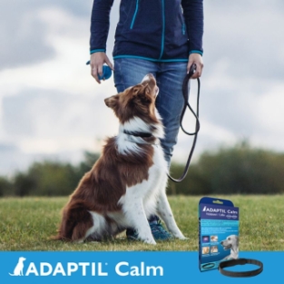 Adaptil Calm Collar Perro.