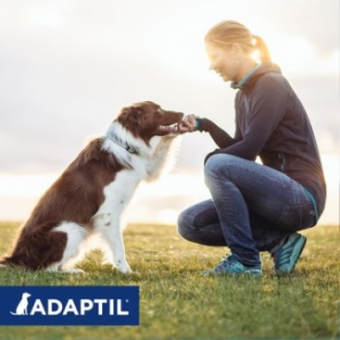 Adaptil Calm Halsband Hund.