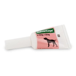 Bayer Advantage 250 (M) Chien. 