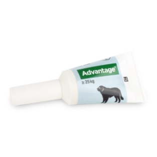 Bayer Advantage 400 (L) Chien. 