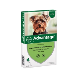 Bayer Advantage 40 (XS) Chien. 