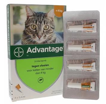 Advantage 40 Gato 4 pipetas --- Contra las pulgas, para gatos de hasta 4 kg.