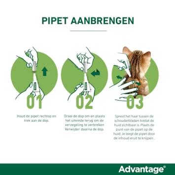 Advantage 80 Chat 4 pipettes --- Contre les puces, pour les chats de 4 à 8 kg.
