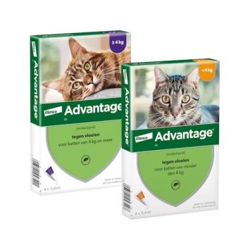 Advantage Cat 4 pipettes - Against fleas and lice in cats.