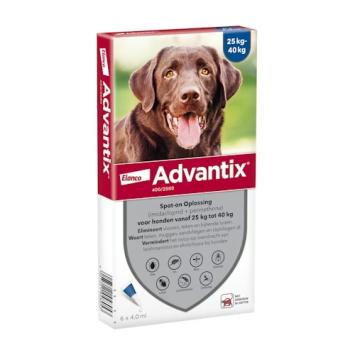 Advantix Hond. --- Tegen vlooien, teken, zandvliegen en muggen bij honden.