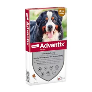 Advantix Hond. --- Tegen vlooien, teken, zandvliegen en muggen bij honden.