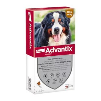 Advantix Hond. --- Tegen vlooien, teken, zandvliegen en muggen bij honden.