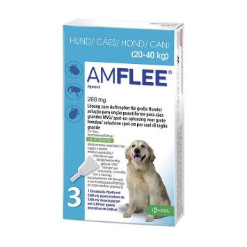 Amflee Spot-on Chien 3 pipettes. Contre les puces et les tiques, avec Fipronil.