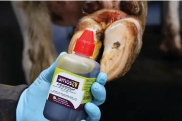 Amos Jodium Tinctuur 2% --- Een gebruiksklare jodiumoplossing voor wond- en navelbehandeling. Ook geschikt bij aflammeren en afkalven.