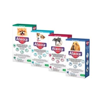 Krka Ataxxa Spot-On Dog 3 pip. --- Treatment and prevention of flea infestation in dogs.