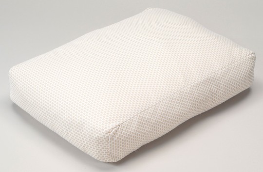 Argentano Taie de coussin anti-puce Beige