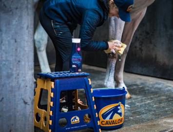 Cavalor Bianco Wash 500ml.   Um gründlich Flecken und Schmutz aus dem Fell zu entfernen.