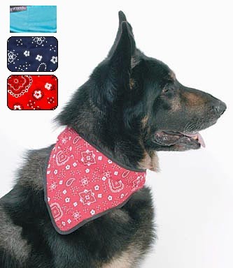 Cooler Bandana M effen Blauw