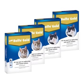 Bolfo Gold Cat -- Anti-flea product in spot-on, for small & large cats, in 2 & 4 pipettes.