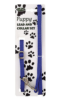 Puppy Halsband & Lijn BLAUW