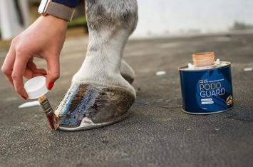 Cavalor Podoguard. --- Combinación de 2 aceites para un crecimiento, desarrollo y calidad óptimos.