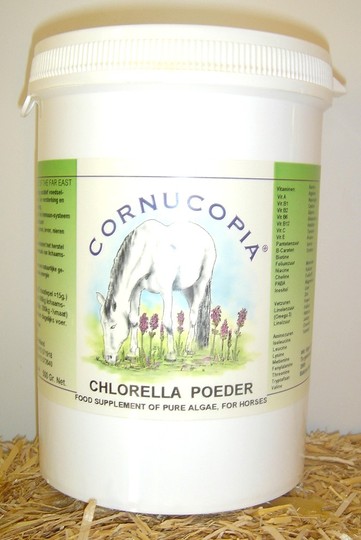 Chlorella 100% pur PULVER 500 gr.