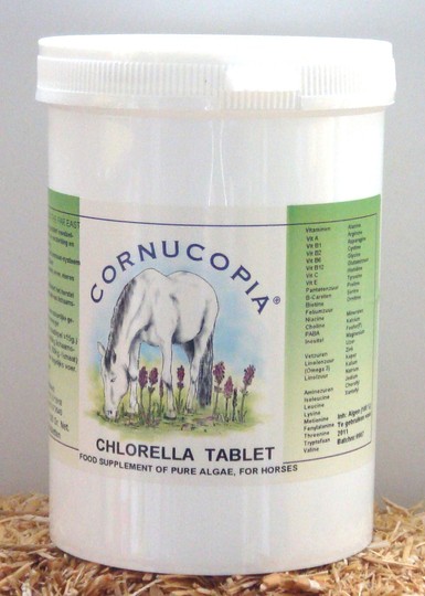 Chlorella 100 % puur 2500 tabl.