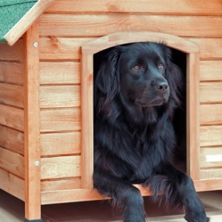 Kerbl Hundehütte Cosy.