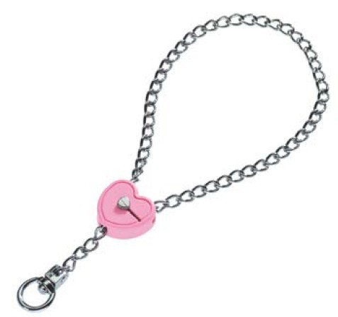 Collier Dresseur Chaine avec Coeur