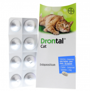 Drontal Katze.