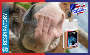 Equine America Airways 500ml.   Pour un cheval qui respire librement.