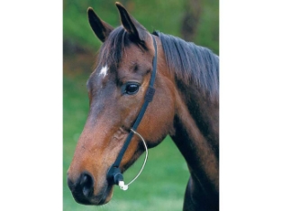 VSM Ltd. Easy Wormer for horses