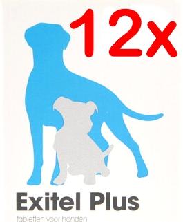 Exil No Worm Exitel Plus Dog