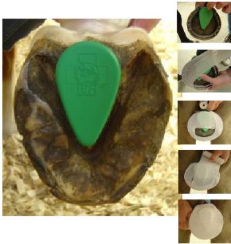 Equilife Frog Supports 2 piezas -- 1ª ayuda para la laminitis.