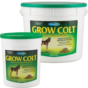 Farnam Grow Colt.   27 vitamins and minerals especially for foals in the first year.