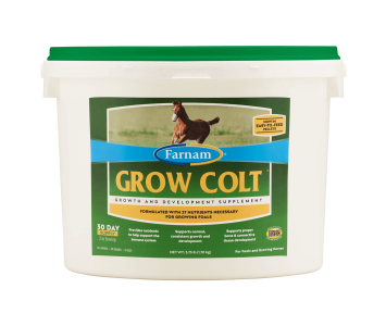 Farnam Grow Colt.   27 vitamins and minerals especially for foals in the first year.