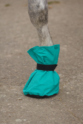 Hoof It Sac pour Sabots