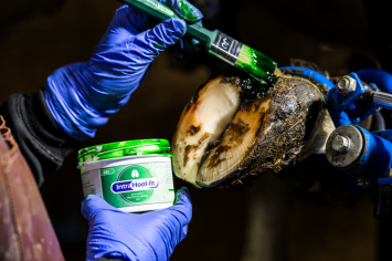 Intra Hoof-Fit Gel 330 ml. -- Extremely effective in hoof treatment of cattle and sheep.