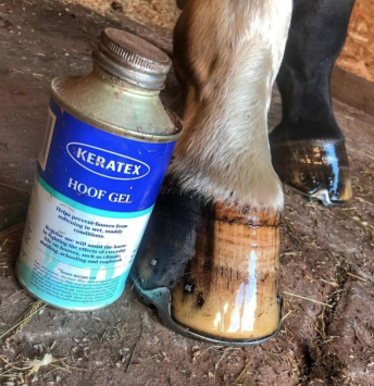 Keratex Hoof Gel.   Forms a barrier against harmful influences such as ammonia and water.