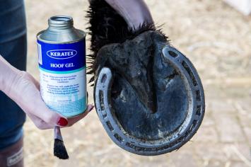 Keratex Hoof Gel.   Forms a barrier against harmful influences such as ammonia and water.