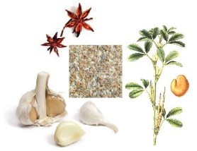 Jacob Hooy Garlic, Fenugreek & Anise