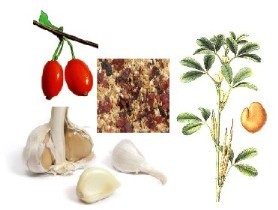 Jacob Hooy Garlic, Fenugreek & Rosehip 1kg.