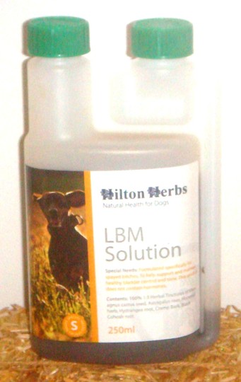 LBM Solution
