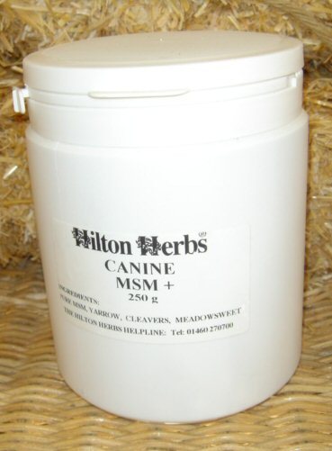 Canine MSM+ 250 gram