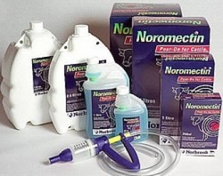 Noromectin Pour-On.   To be used in the treatment of exclusively non-lactating cattle against gastrointestinal and lung worms and lice and bovine hornets.