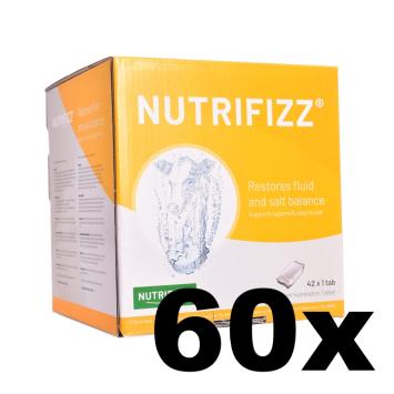 Nutrifizz Effervescent tablet 42 x 1 tablet. Guarantees a correct moisture and mineral balance.